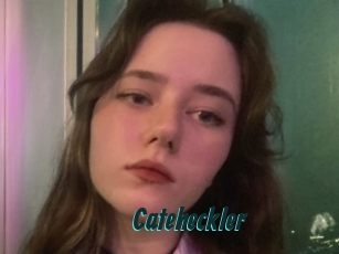 Cateheckler