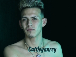 cattleyanrey Lucy Live