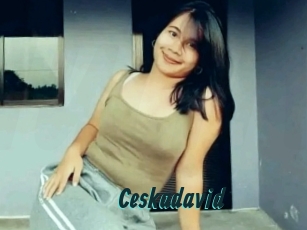 Ceskadavid
