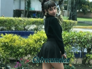 Cleirecamelon