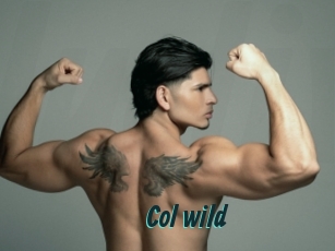 col_wild Lucy Live