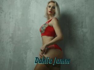 Dahlia_Jamm