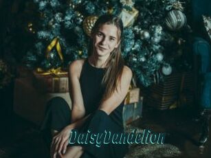 DaisyDandelion