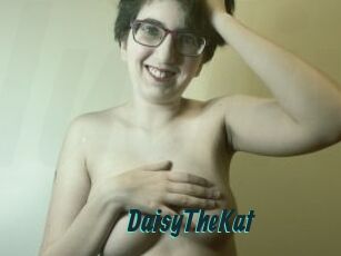 DaisyTheKat