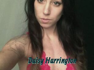 Daisy_Harrington