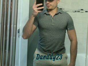Danddy23