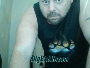 DigBickRoscoe