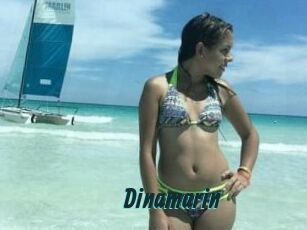 Dinamarin