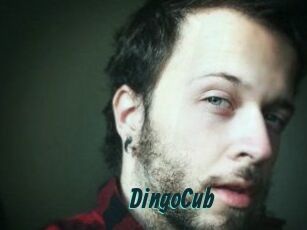 DingoCub