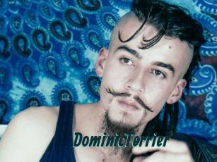 DominicTerrier