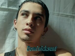 Dominicksant