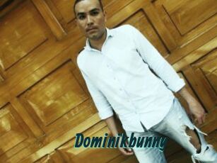 Dominikbunny