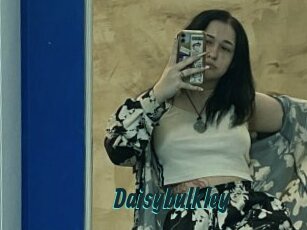 Daisybulkley