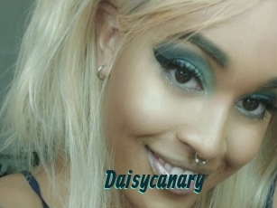 Daisycanary