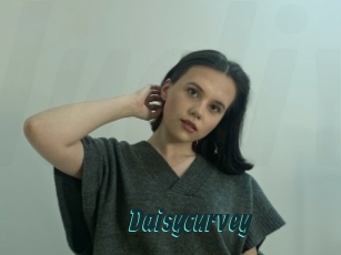 Daisycurvey