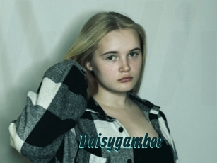 Daisygambee