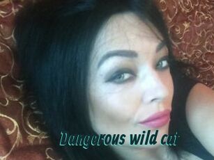 Dangerous_wild_cat