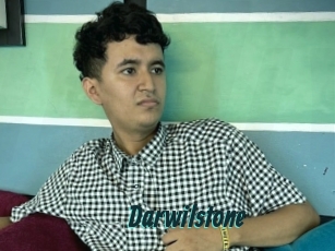 Darwilstone