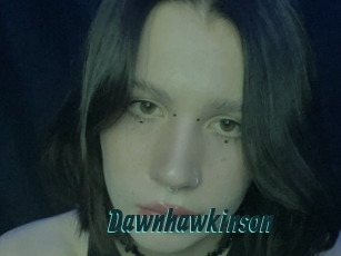 Dawnhawkinson