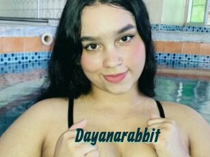 Dayanarabbit