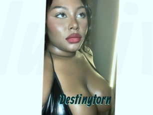 destinytorn Lucy Live
