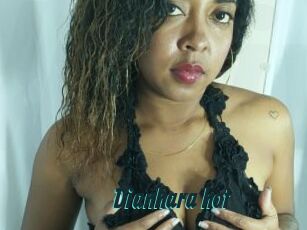 Dianhara_hot