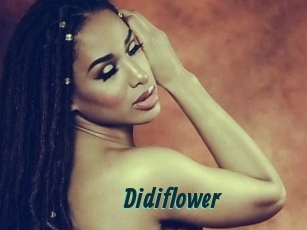 Didiflower