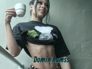 Domin_hamss