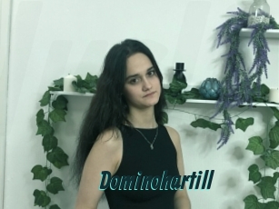 Dominohartill