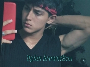Dylan_brown15cm