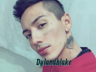 Dylandblake