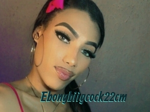 Ebonybiigcock22cm