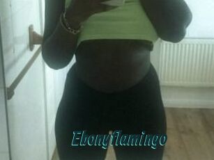 Ebony_flamingo