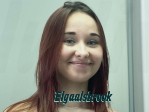 Elgaalsbrook