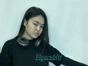 Elgacubitt