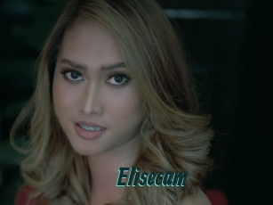 Elisecam