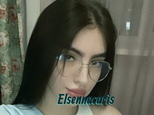 Elsennacaris