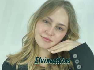 Elvinaatkins