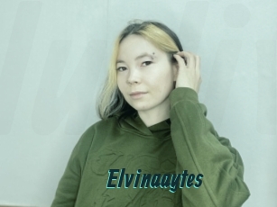 Elvinaaytes