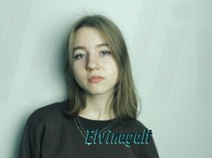 Elvinagalt