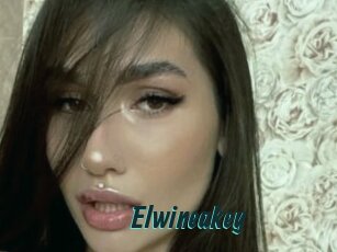Elwineakey