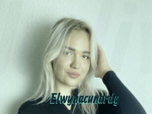Elwynacunardy