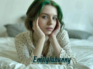 Emilylabunny