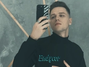 Endycor
