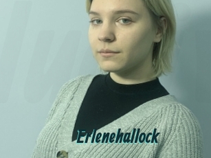 Erlenehallock