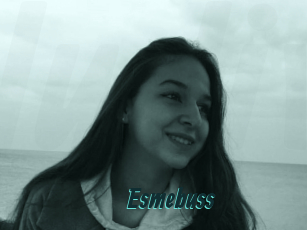 Esmebuss