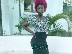 Eunifix