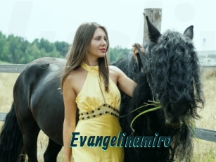 Evangelinamiro