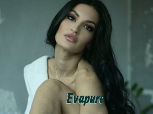 Evapure