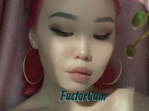 FactorCam